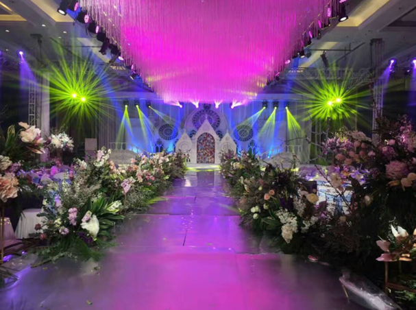 安陽(yáng)賓館二樓多功能廳LED大屏、音響、燈光工程